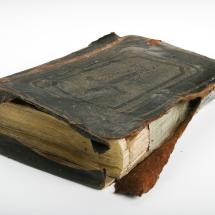  ◳ Dvořáková4 (jpg) → (ořez 215*215px)